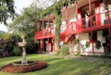 Interactive Process of Coffee